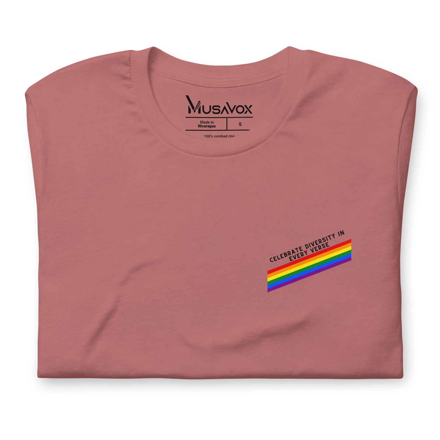 CELEBRATE DIVERSITY IN EVERY VERSE FLAG - T-shirt